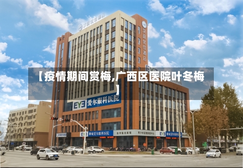 【疫情期间赏梅,广西区医院叶冬梅】-第3张图片