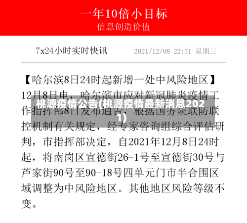 桃源疫情公告(桃源疫情最新消息2021)