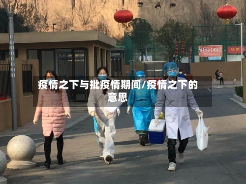 疫情之下与批疫情期间/疫情之下的意思-第2张图片