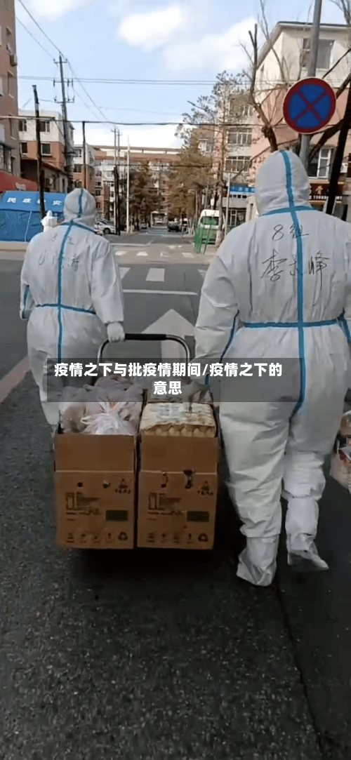疫情之下与批疫情期间/疫情之下的意思