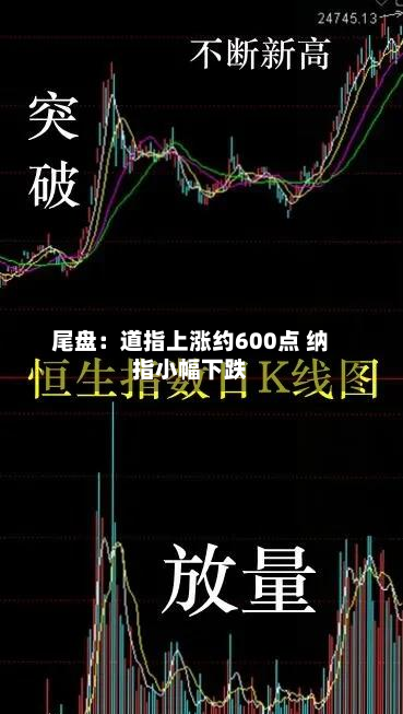 尾盘：道指上涨约600点 纳指小幅下跌