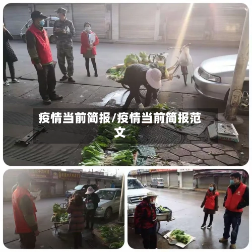 疫情当前简报/疫情当前简报范文