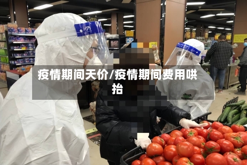 疫情期间天价/疫情期间费用哄抬