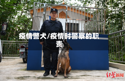 疫情警犬/疫情时警察的职责-第2张图片