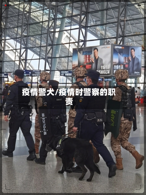 疫情警犬/疫情时警察的职责-第3张图片