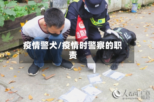 疫情警犬/疫情时警察的职责