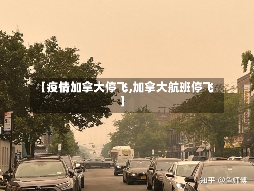 【疫情加拿大停飞,加拿大航班停飞】-第2张图片