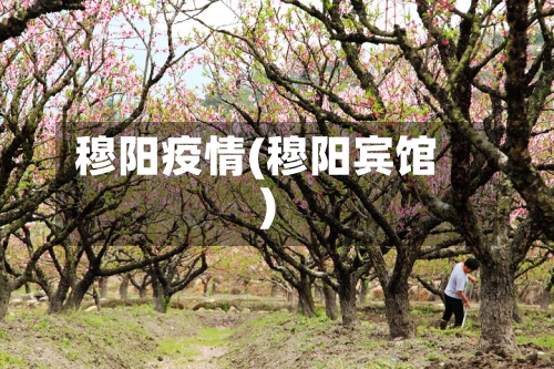 穆阳疫情(穆阳宾馆)-第2张图片
