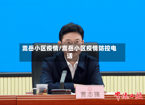 嵩岳小区疫情/嵩岳小区疫情防控电话-第3张图片