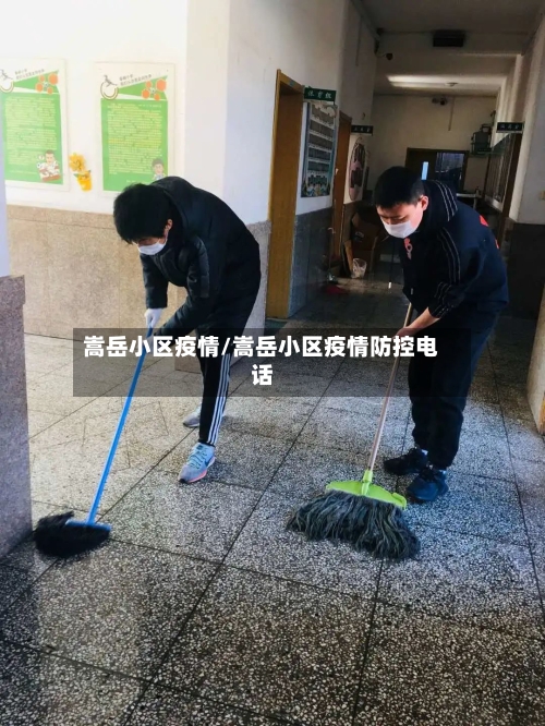嵩岳小区疫情/嵩岳小区疫情防控电话-第2张图片