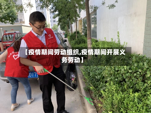 【疫情期间劳动组织,疫情期间开展义务劳动】-第2张图片