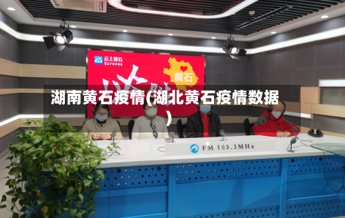 湖南黄石疫情(湖北黄石疫情数据)-第2张图片