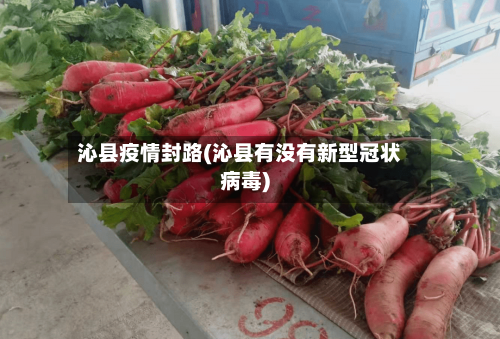 沁县疫情封路(沁县有没有新型冠状病毒)