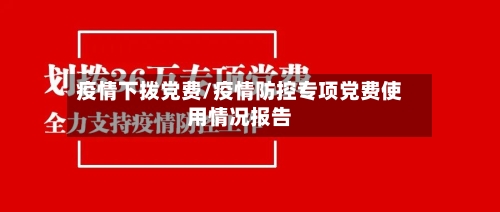 疫情下拨党费/疫情防控专项党费使用情况报告