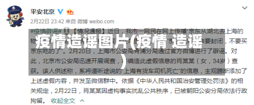 疫情造谣图片(疫情 造谣)-第2张图片