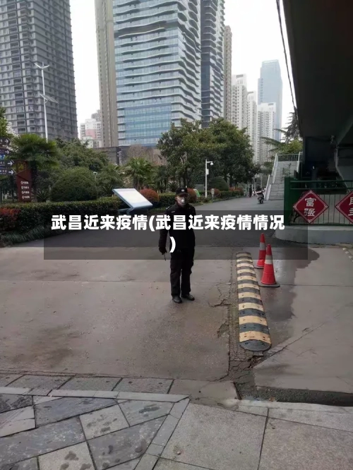武昌近来疫情(武昌近来疫情情况)