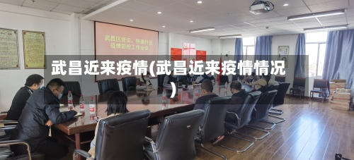 武昌近来疫情(武昌近来疫情情况)-第2张图片