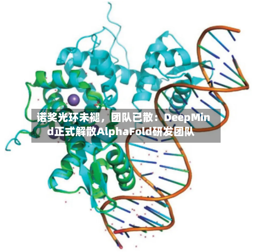 诺奖光环未褪，团队已散：DeepMind正式解散AlphaFold研发团队