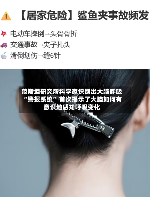 范斯坦研究所科学家识别出大脑呼吸“警报系统	” 首次揭示了大脑如何有意识地感知呼吸变化-第2张图片