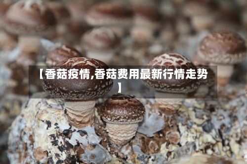 【香菇疫情,香菇费用最新行情走势】