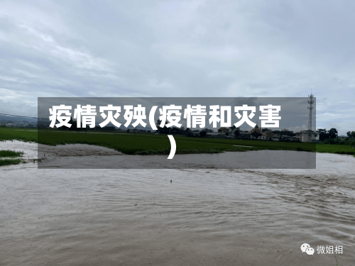疫情灾殃(疫情和灾害)-第2张图片