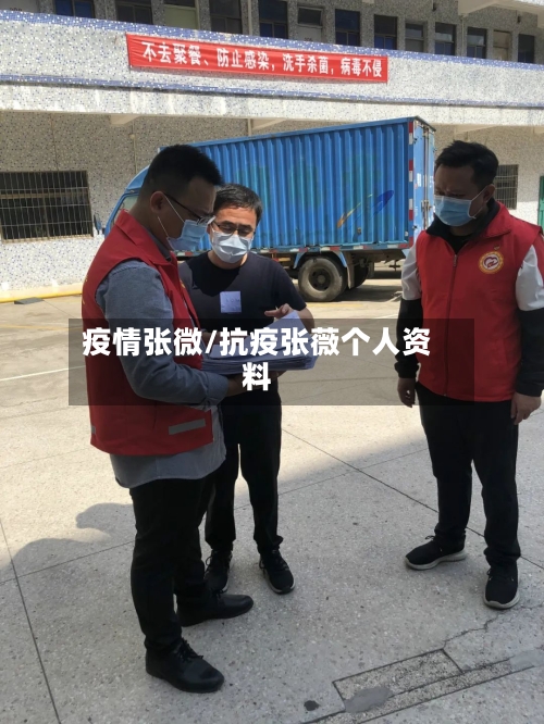 疫情张微/抗疫张薇个人资料
