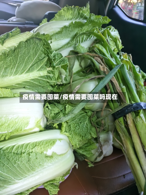疫情需要囤菜/疫情需要囤菜吗现在-第2张图片