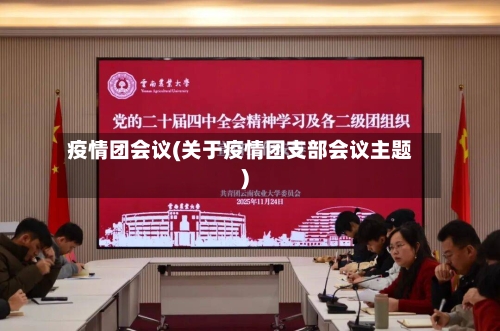 疫情团会议(关于疫情团支部会议主题)