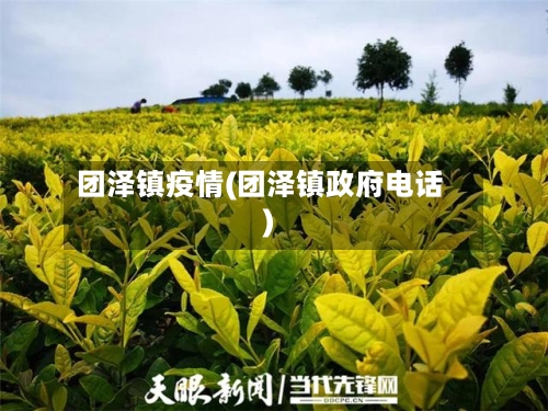 团泽镇疫情(团泽镇政府电话)-第3张图片