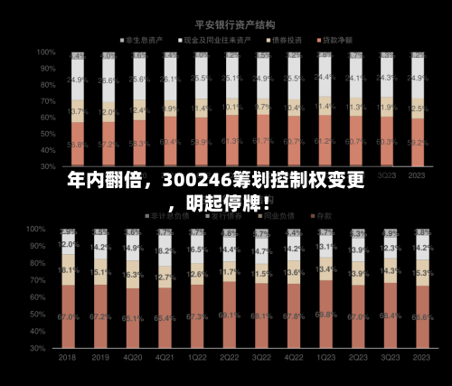 年内翻倍，300246筹划控制权变更，明起停牌！