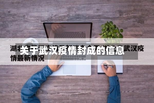 关于武汉疫情封成的信息-第2张图片