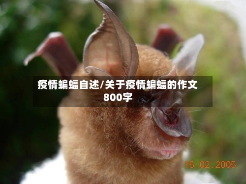 疫情蝙蝠自述/关于疫情蝙蝠的作文800字
