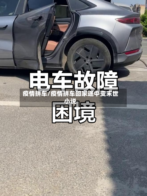 疫情拼车/疫情拼车回家途中变末世小说-第2张图片