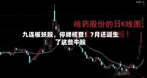 九连板妖股，停牌核查！7月还诞生了这些牛股-第2张图片