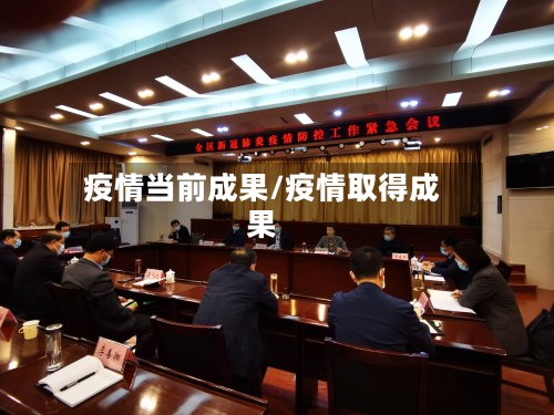 疫情当前成果/疫情取得成果