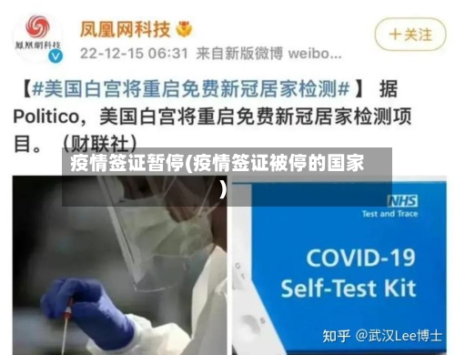 疫情签证暂停(疫情签证被停的国家)