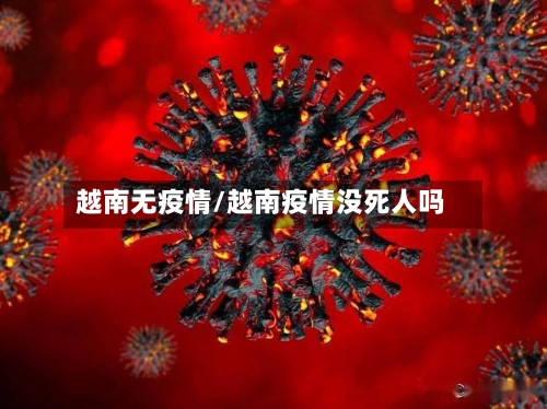 越南无疫情/越南疫情没死人吗