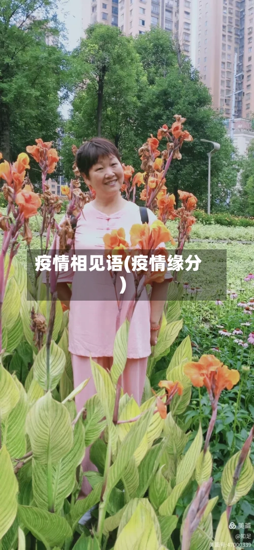 疫情相见语(疫情缘分)