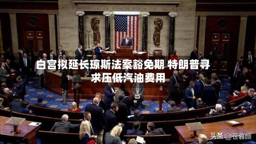 白宫拟延长琼斯法案豁免期 特朗普寻求压低汽油费用
-第3张图片