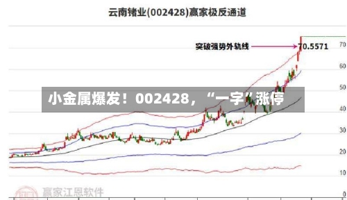 小金属爆发！002428	，“一字”涨停-第2张图片