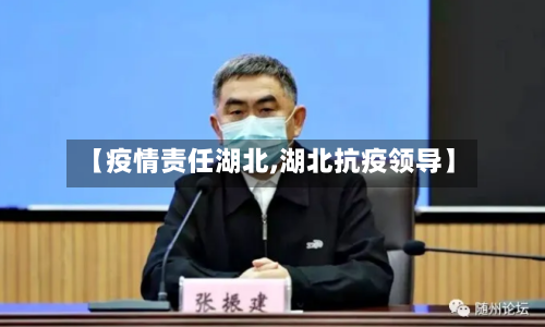 【疫情责任湖北,湖北抗疫领导】
