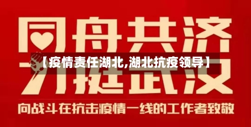 【疫情责任湖北,湖北抗疫领导】-第2张图片
