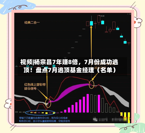 视频|杨宗昌7年赚8倍，7月份成功逃顶！盘点7月逃顶基金经理（名单）-第2张图片