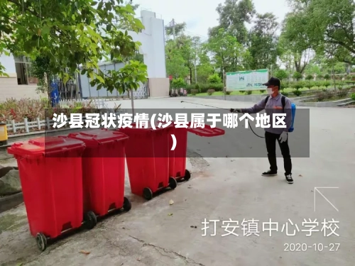 沙县冠状疫情(沙县属于哪个地区)