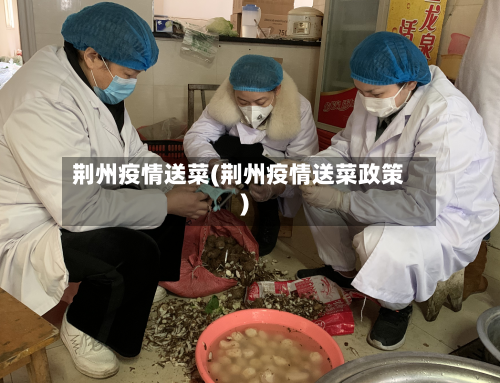 荆州疫情送菜(荆州疫情送菜政策)-第2张图片
