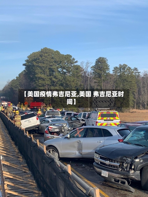 【美国疫情弗吉尼亚,美国 弗吉尼亚时间】-第3张图片