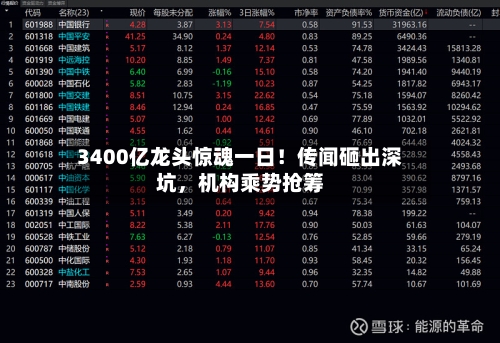 3400亿龙头惊魂一日！传闻砸出深坑，机构乘势抢筹-第2张图片