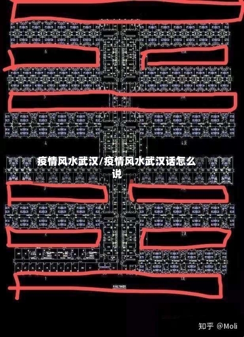 疫情风水武汉/疫情风水武汉话怎么说