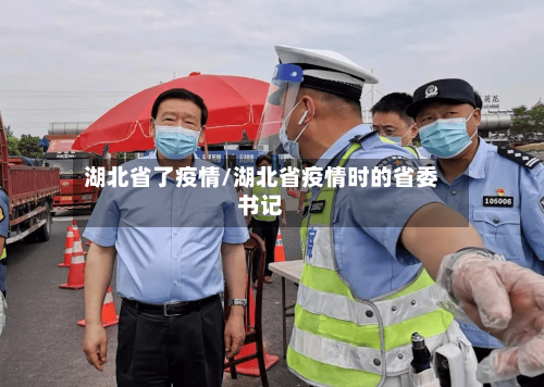 湖北省了疫情/湖北省疫情时的省委书记