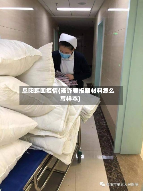 阜阳韩国疫情(被诈骗报案材料怎么写样本)-第2张图片